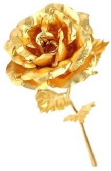 Connectwide 24k Gold Color Rose 10 Inches With Gift Box Gold Rose Artificial Flower Price In India Buy Connectwide 24k Gold Color Rose 10 Inches With Gift Box Gold Rose Artificial