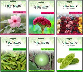 Farm Seeds Vinca Cockscomb Balsam Lady Finger Tinda Bitter Gourd Seed Price In India Buy Farm Seeds Vinca Cockscomb Balsam Lady Finger Tinda Bitter Gourd Seed Online At Flipkart Com Malheureusement, le tinda finger n'est pas encore commercialisé. flipkart