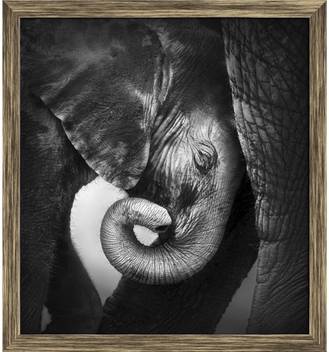 Artzfolio Baby Elephant Seeking Comfort Against Mother Framed Wall