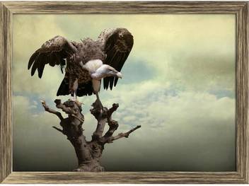 Artzfolio Golden Eagle On A Tree With Opened Wings Framed