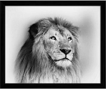 Artzfolio Striking Black And White Lion Framed Wall Art Painting