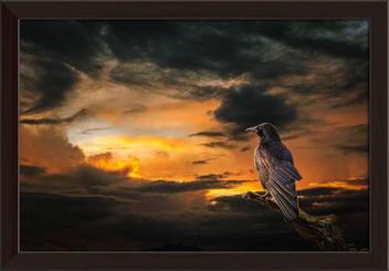 Artzfolio Raven On Stormy Sunset Framed Wall Art Painting Print Canvas 12 Inch X 17 1 Inch Painting Price In India Buy Artzfolio Raven On Stormy Sunset Framed Wall Art Painting Print