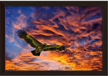 Artzfolio Flying Eagles Framed Wall Art Painting Print Canvas 12 Inch X 17 1 Inch Painting Price In India Buy Artzfolio Flying Eagles Framed Wall Art Painting Print Canvas 12 Inch X