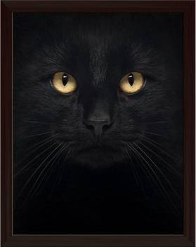 Artzfolio Black Cat Framed Wall Art Painting Print Canvas 15 Inch X 12 Inch Painting Price In India Buy Artzfolio Black Cat Framed Wall Art Painting Print Canvas 15 Inch X
