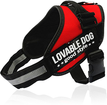 Dog neck belt flipkart