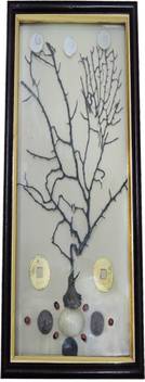 Ratnatraya Energised Indra Jaal Glass Frame Plated Yantra Price In India Buy Ratnatraya Energised Indra Jaal Glass Frame Plated Yantra Online At Flipkart Com