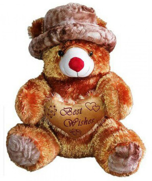 2 feet teddy