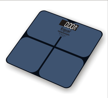 weighing scale price