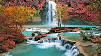 Real Nature Poster Paper Print Nature Posters In India Buy Art