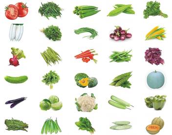 Sapretailer Vegetable Seeds Seed Price In India Buy Sapretailer Vegetable Seeds Seed Online At Flipkart Com