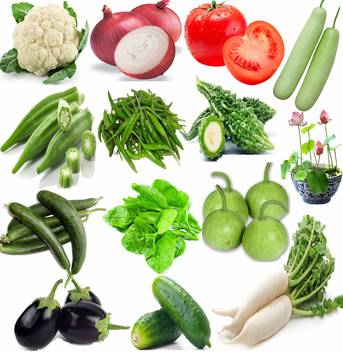 Airex Cauliflower Onion Tomato Bottle Gourd Bitter Gourd Lady Finger Green Chilli Lotus Ridge Gourd Spinach Palak Round Gourd Tinda Brinjal Cucumber Kheera And Daikon Mooli Seed Price In India Buy A survey will be sent at the end of the campaign for you to choose. airex cauliflower onion tomato bottle gourd bitter gourd lady finger green chilli lotus ridge gourd spinach palak round gourd tinda