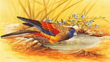 DIGITAL PAINTING WALL HD WALLPAPER ART PAPER CUTE BIRD ON 24X36  Photographic Paper - Art & Paintings posters in India - Buy art, film,  design, movie, music, nature and educational paintings/wallpapers at