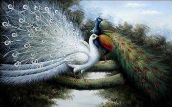 Peacock Birds Painting Poster Awesome Fine Art Paper Hd Wallpaper