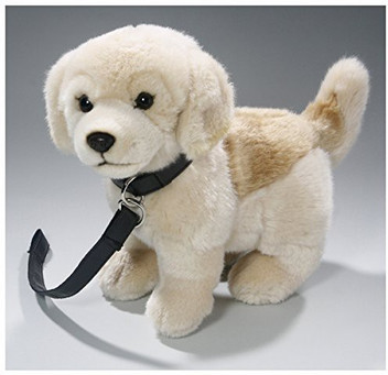 dog toys flipkart