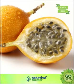 Get Wallpaper Creative Farmer Edible Passion Flower Fruit Seeds For Home Garden HD