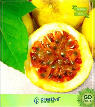 Get Wallpaper Creative Farmer Fruit Seeds Passiflora Incarnata Passion Fruit For Android
