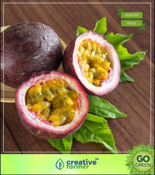 Creative Farmer Fruit Seeds Passion Fruit Tree Seeds Fruit Plant Seeds For Garden Fruit Seeds Seed Price In India Buy Creative Farmer Fruit Seeds Passion Fruit Tree Seeds Fruit