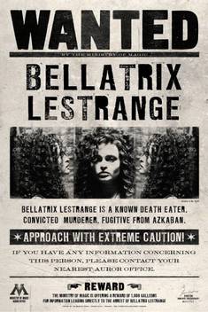 Athah Harry Potter Bellatri Lestrange Wanted Poster Paper Print