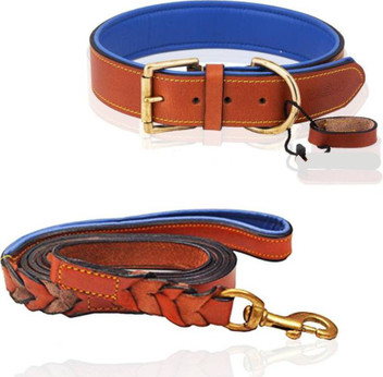 Dog neck belt flipkart