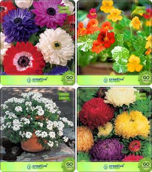 Get Wallpaper Creative Farmer Flower Seeds Flower Seed For Winter Season Combo Free
