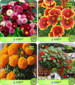 Creative Farmer Flower Seeds Flower Seed For Garden Combo Dasiya Pomponent Gaillardia Marigold Hawaii Nasturtium Garden Flower Seeds Seed Price In India Buy Creative Farmer Flower Seeds Flower Seed For Garden