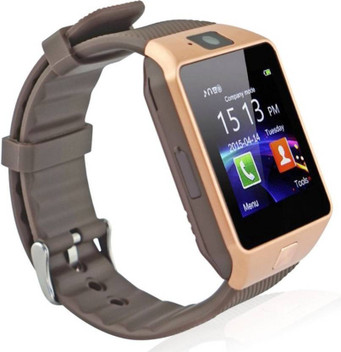 zebronics smart watch 100 price