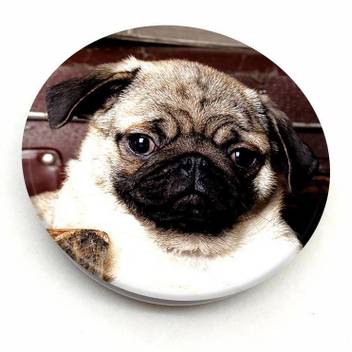 Crazyink Pug Dog Mobile Holder Price In India Buy Crazyink Pug Dog Mobile Holder Online At Flipkart Com A pug was judged best in show at the world dog show in 2004.