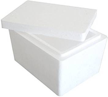 Hunting Hobby 6 L Plastic Es Gqjr Js1w Ice Bucket Price In India Buy Hunting Hobby 6 L Plastic Es Gqjr Js1w Ice Bucket Online At Flipkart Com