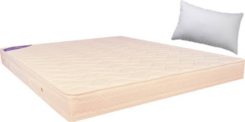 centuary mattress for diwan cot