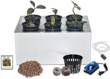 Greenthrills Dwc Hydroponic 6 Plant Growing Kit System Acrylic