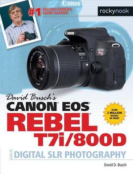 David Busch S Canon Eos Rebel T7i 800d Guide To Slr Photography Buy David Busch S Canon Eos Rebel T7i 800d Guide To Slr Photography By Busch David D At Low Price In India Flipkart Com