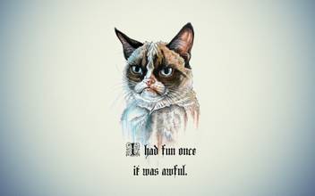 Akhuratha Grumpy Cat Quotes Wall Poster Paper Print Quotes