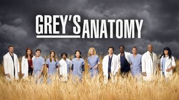 Tv Show Grey S Anatomy Hd Wall Poster Paper Print Tv Series