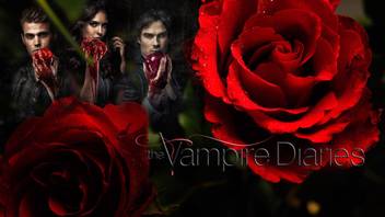Tv Show The Vampire Diaries Vampire Blood Horror Halloween Flower Rose Fan Art Art Hd Wall Poster Paper Print Tv Series Posters In India Buy Art Film Design Movie Music