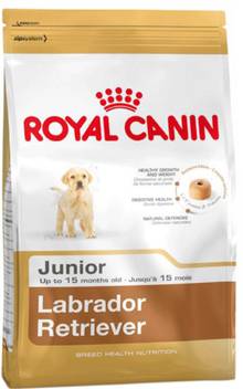 Royal Canin Labrador Retriever 12 Kg Dry Young Dog Food Price In India Buy Royal Canin Labrador Retriever 12 Kg Dry Young Dog Food Online At Flipkart Com