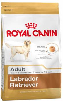 Royal Canin Labrador Retriever 12 Kg Dry Adult Dog Food Price In India Buy Royal Canin Labrador Retriever 12 Kg Dry Adult Dog Food Online At Flipkart Com