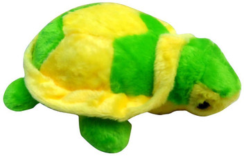 tortoise teddy