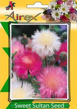 Airex Sweet Sultan Flower Seeds Pack Of 30 Seeds 1 Per Packet Seed Price In India Buy Airex Sweet Sultan Flower Seeds Pack Of 30 Seeds 1 Per Packet Seed Online At Flipkart Com