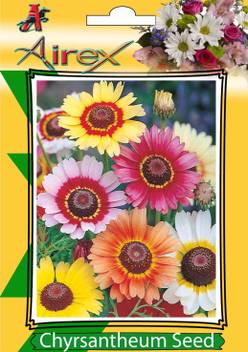 Airex Chyrsantheum Winter Flower Seeds 8 Packet Of Chyrsantheum Pack Of 40 Seeds 8 Per Packet Seed Price In India Buy Airex Chyrsantheum Winter Flower Seeds 8 Packet Of Chyrsantheum