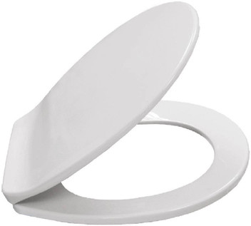 toilet seat lock