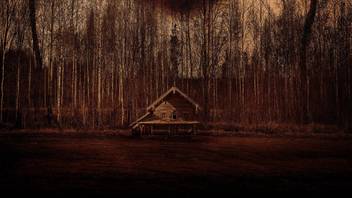 Ad Cabin Fever Wall Poster 13 19 Inches Paper Print Movies