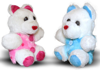 teddy bear with zipper on back