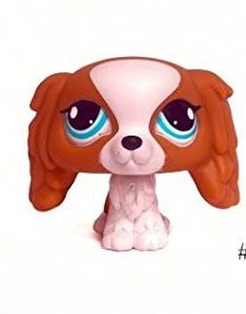 Littlest Pet Shop Dog King Charles Cavalier 1825 Super Rare Dog King Charles Cavalier 1825 Super Rare Buy Dog Toys In India Shop For Littlest Pet Shop Products In India Flipkart Com