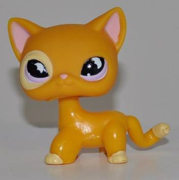 Littlest Pet Shop Shorthair Kitten 855 Orange Purple Eyes