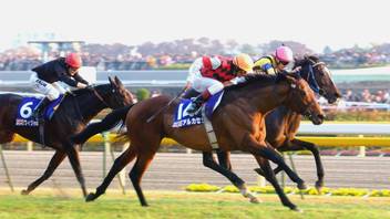 Akhuratha Poster Sports Horse Racing Racing Hd Wallpaper