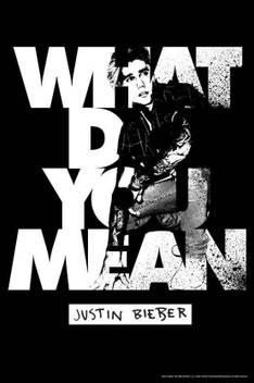 Wingage Justin Bieber What Do You Mean Paper Printed Poster 12x18inch Paper Print Decorative Posters In India Buy Art Film Design Movie Music Nature And Educational Paintings Wallpapers At Flipkart Com