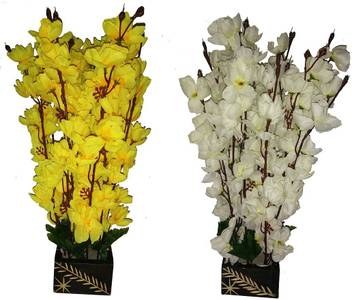 Kaykon Beautiful Artificial Orchid Flowers White And Yellow Flowers Pot Pack Of 2 40 Cm White Yellow Orchids Artificial Flower With Pot Price In India Buy Kaykon Beautiful Artificial