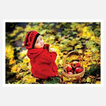 Crazyink Basket Apple N Baby Wall Poster 12 18 Inch Paper