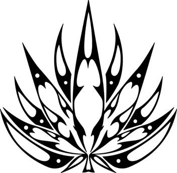 Featured image of post Bike Radium Art Design - Bike r15 modification with radium art | address.