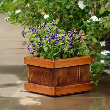 Point Of Hue Handmade Wooden Planter Box Plant Container Set Price In India Buy Point Of Hue Handmade Wooden Planter Box Plant Container Set Online At Flipkart Com